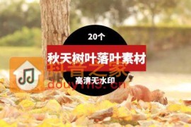秋天树木落叶高清短视频素材